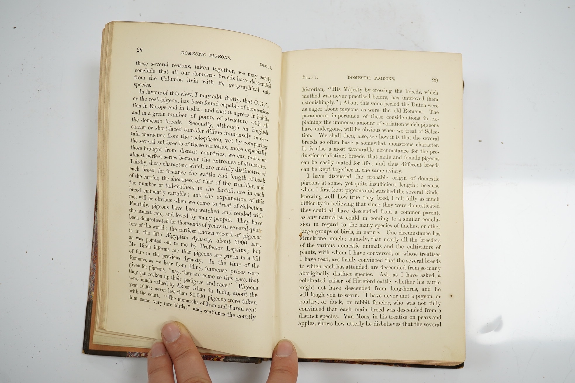 Darwin, Charles - On the Origin of Species by Means of Natural Selection, or the preservation of favoured races in the struggle for life. 3rd Edition, with additions and corrections. (Seventh Thousand). folded diagram; e
